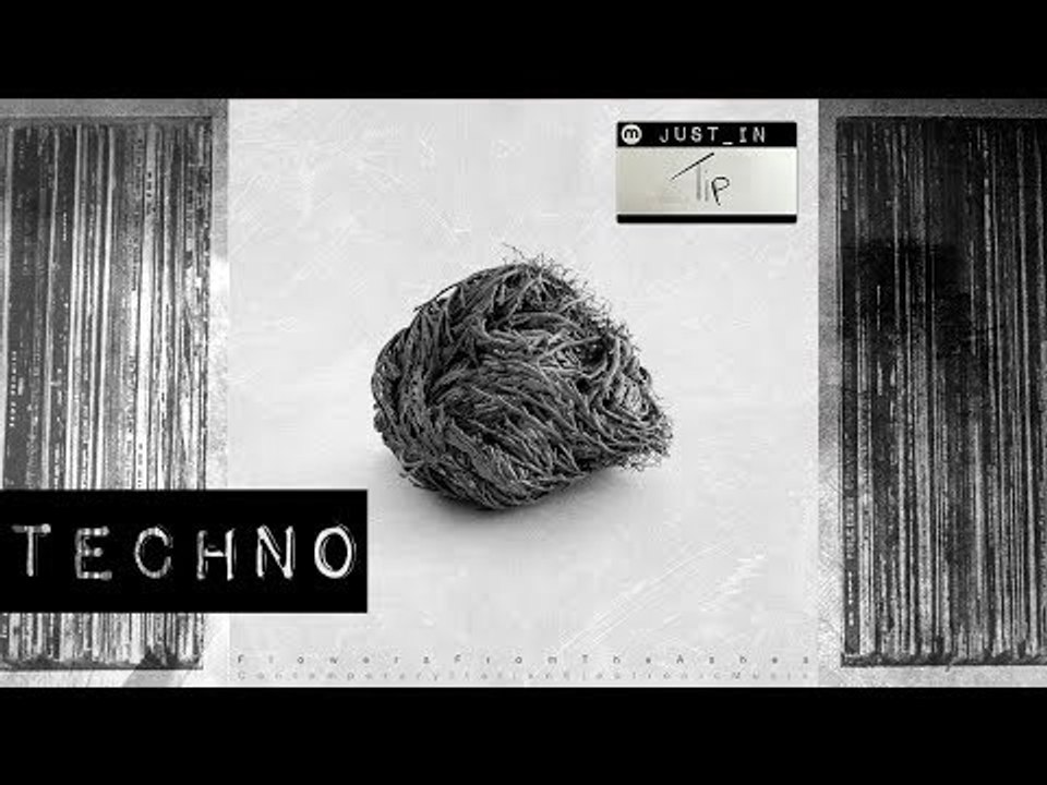 Lucy - Starving The Mind [Stroboscopic Artefacts]