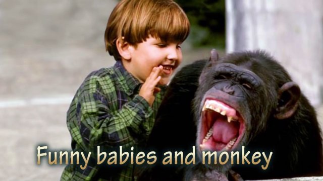 FUNNY Babies and Monkey Become Best Friend - Funny Babies and Pets