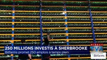 Bitfarms investit près de 250 millions en Estrie