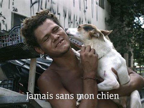 São Paulo créer des refuges pour les sans-abri et leurs chiens