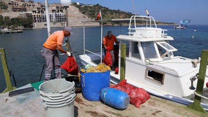 Dalgıçlar Küçükbük Koyu'nu temizledi