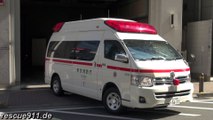 Ambulance Tokyo Fire Department Kyobashi Ginza Branch Fire Station (collection)