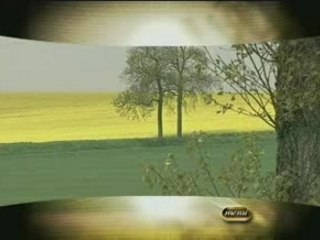 La Province de Liège : Paysage