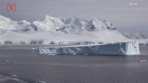 Are Antarctic Glaciers Melting from Below?