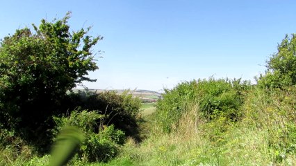 Shoreham Air Show Plane Crash