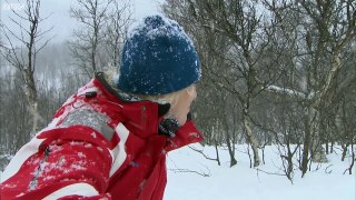 Terrifying Wolf Bites Steve | Deadly 60 | Series 2 | BBC