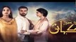 Teri Meri Kahani Episode #17 HUM TV Drama 18 April 2018 - dailymotion