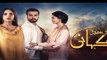 Teri Meri Kahani Episode #18 Promo HUM TV Drama - dailymotion