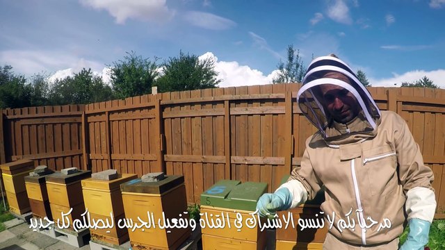 عالم النحل ,الوقاية من عثة الفاروا قبل دخول موسم جني الرحيق