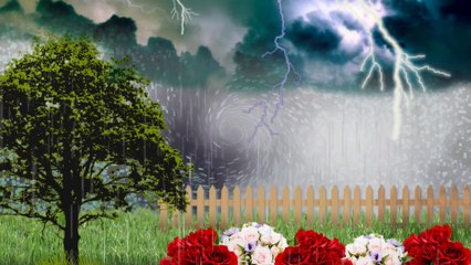 Vivaldi: The Four Seasons - Summer (Wichita State University Chamber Players)