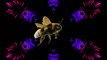 Rimsky-Korsakov: Flight of the Bumblebee (U.S. Army Band)