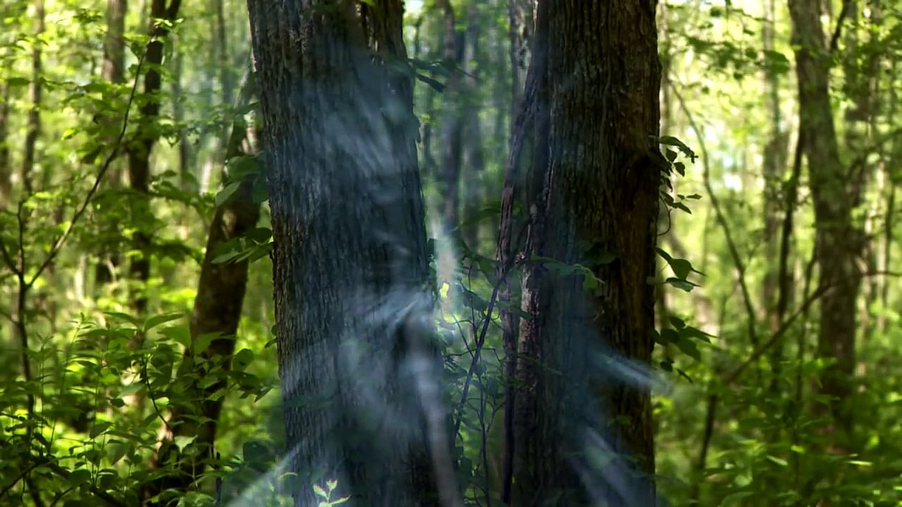 The Bridgewater Triangle - Full Trailer
