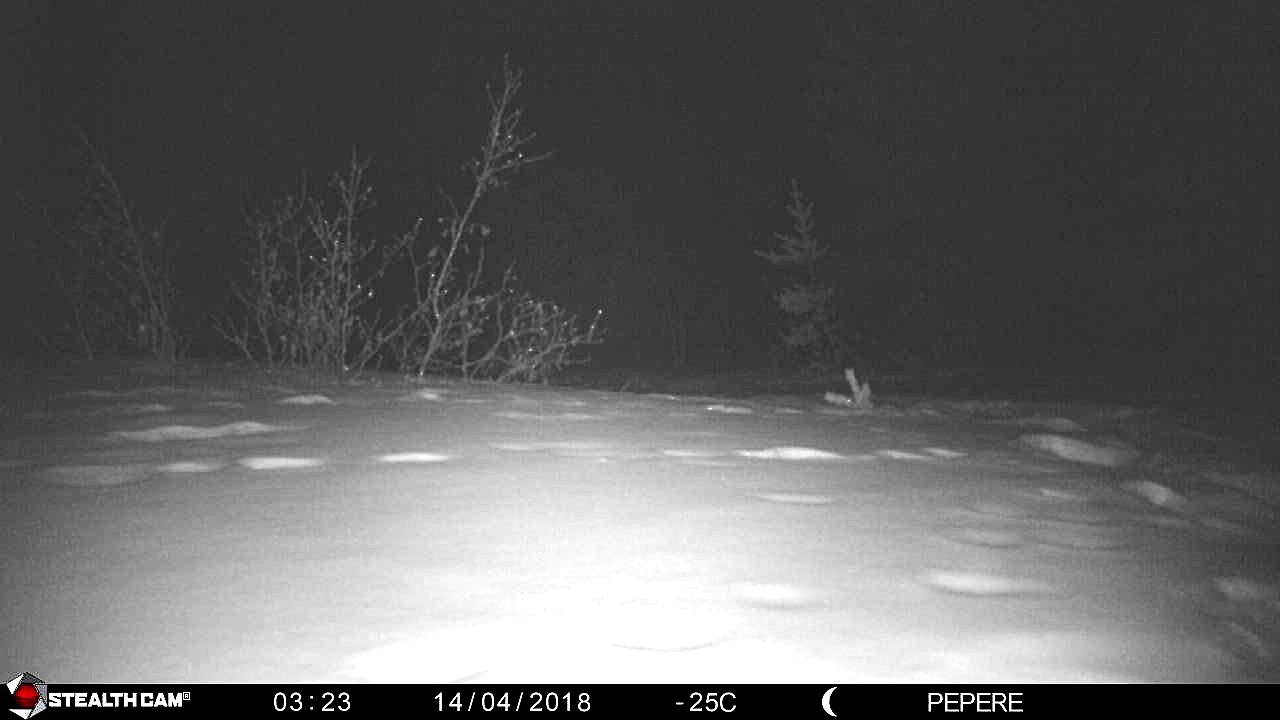 14-04-2018-Un son dans la nuit