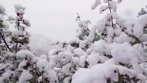 paisajes nevados de bogarra/ albacete /sierra del segura /