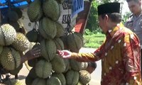 Warga dan Tim Sukses Ditraktir Makan Durian