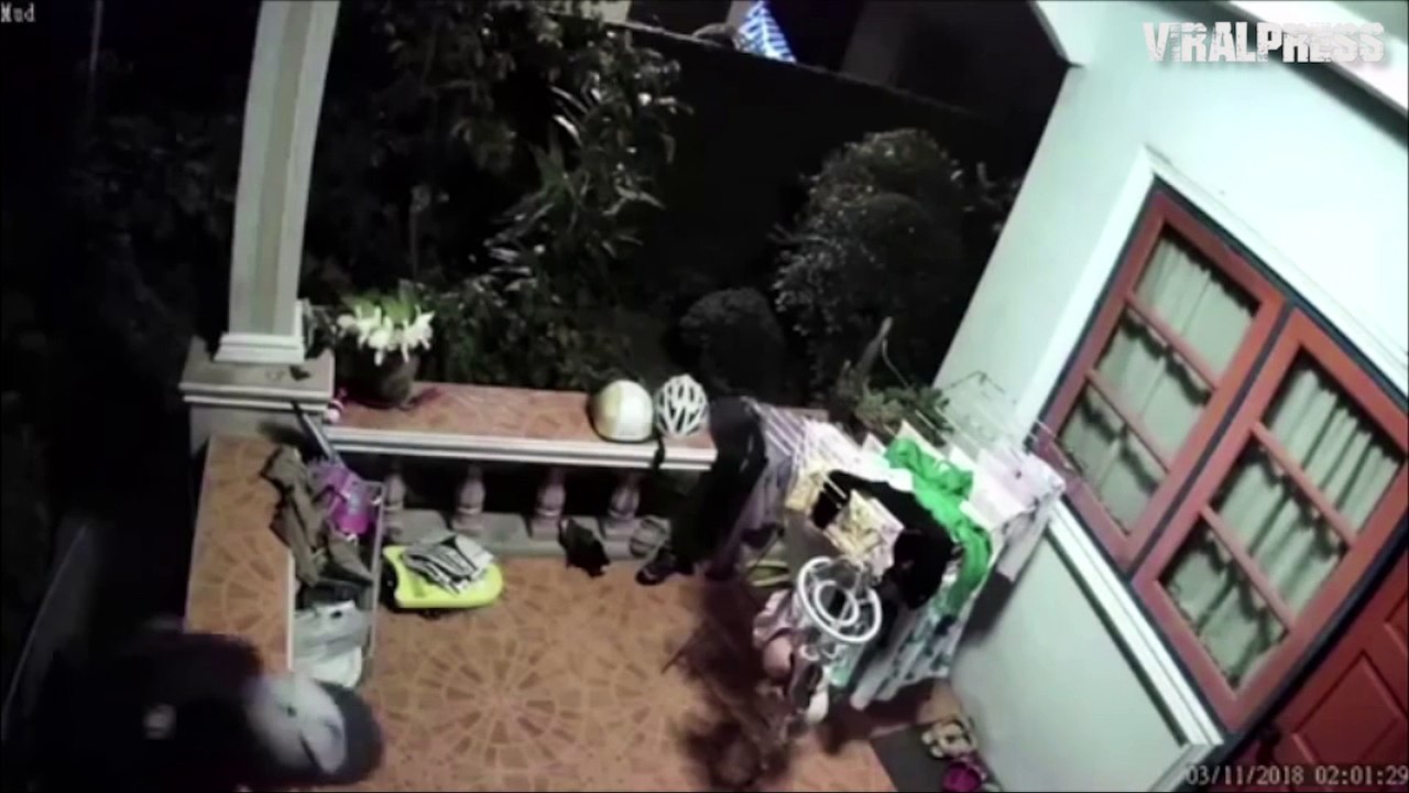 Underwear Thief