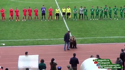 Russia- a bear do the opening between two 3rd division soccer teams