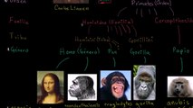 Taxonomía y el árbol de la vida | Herencia y evolución | Biología | Khan Academy en Español