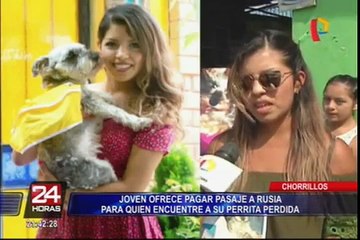 Chorrillos: joven ofrece pasaje a Rusia a quien encuentre a su perrita