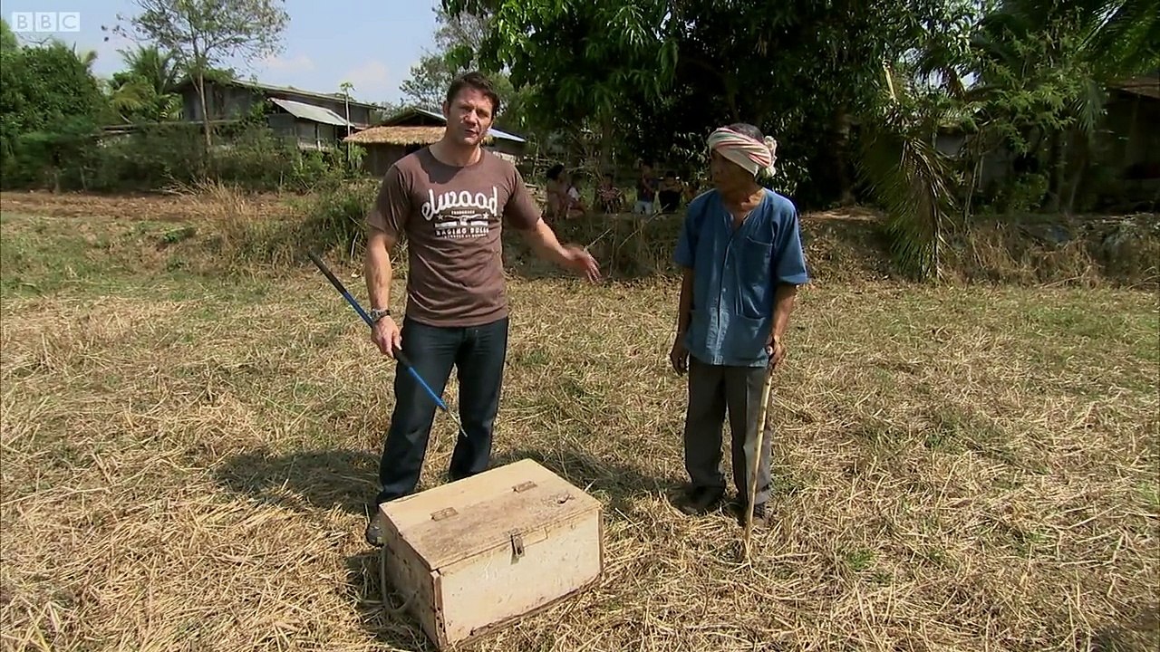 Awesome King Cobra  Deadly 60 Series 2 BBC