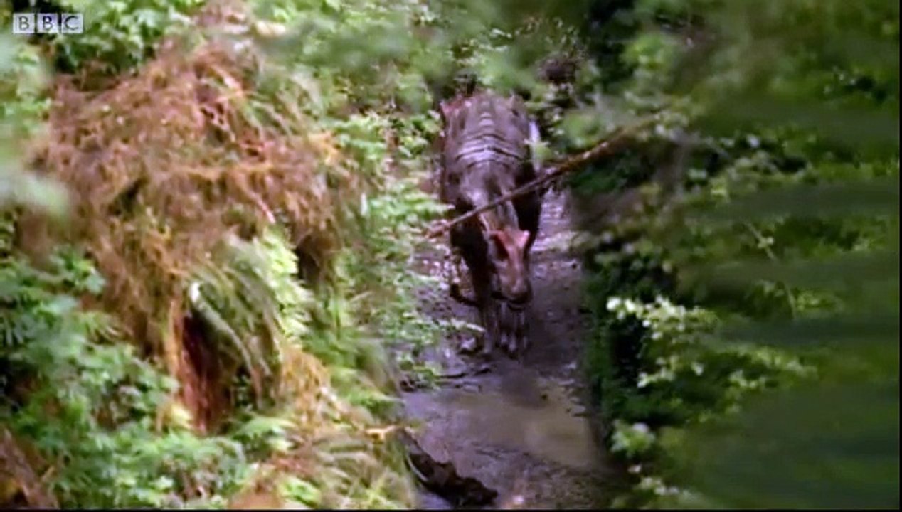 The Smell of Prey Walking with Dinosaurs in HQ BBC