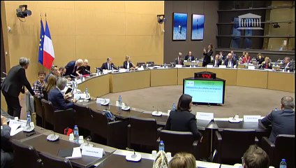 Commission des affaires étrangères : M. François-Philippe Champagne, ministre du Commerce international du Canada - Mercredi 18 avril 2018