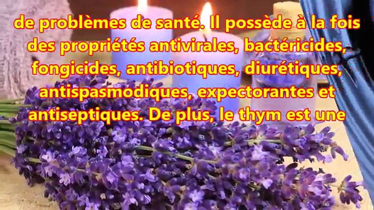 Meilleure façon d'utiliser le thym pour bénéficier de tous ses avantages