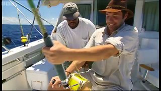 Black Marlin The Fastest Fish on the Planet Ultimate Killers BBC