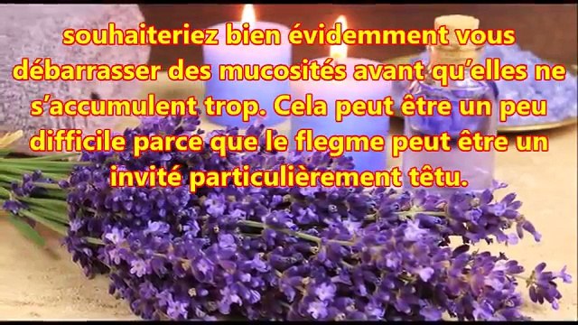 Remèdes naturels pour se débarrasser de la pituite et des symptômes qui l'accompagnent
