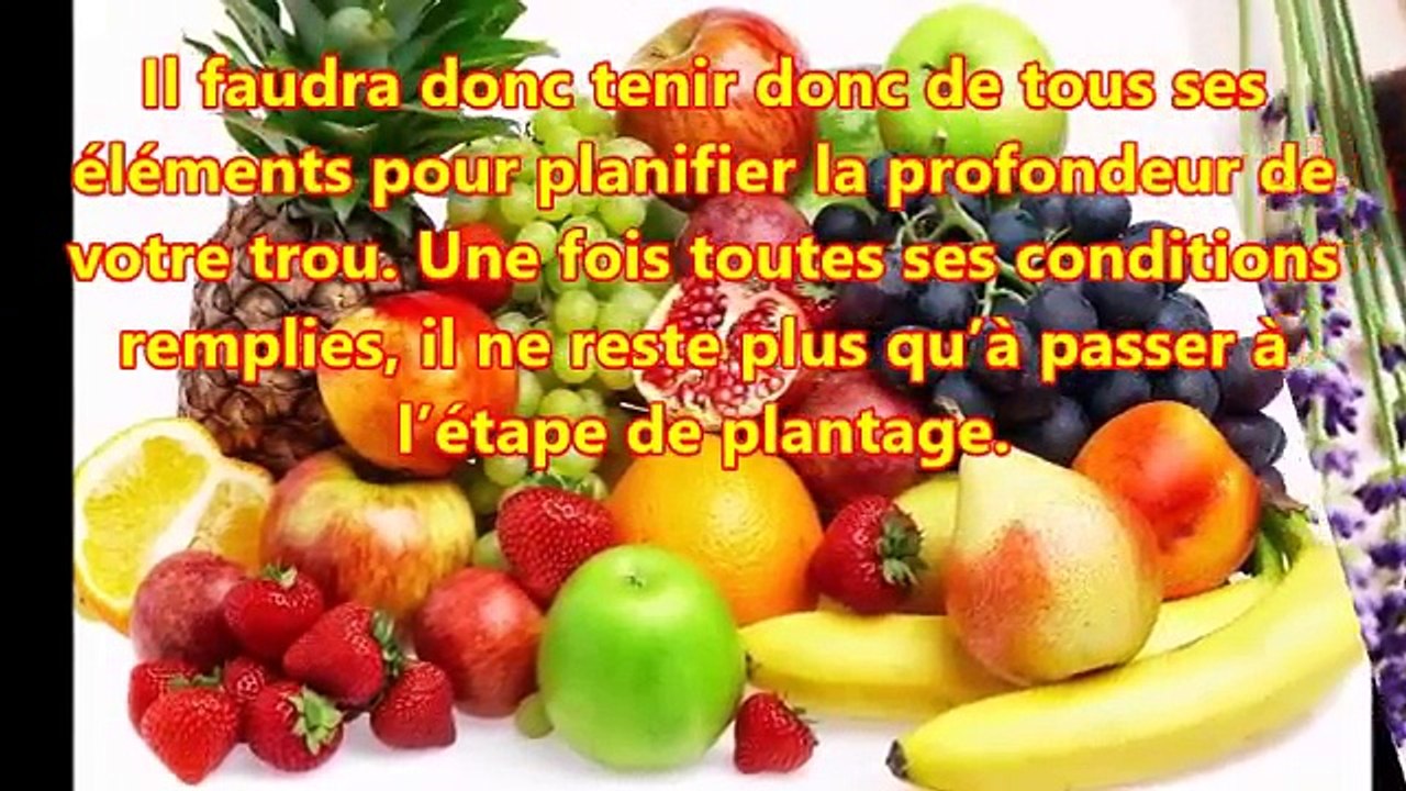 Techniques de plantation des tomates