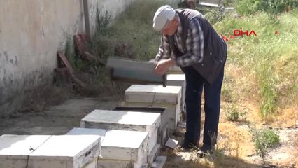 Manisa-Otları Yok Etmek İçin Yapılan İlaçlama Arıları Telef Etti