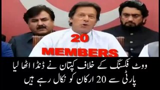 Imran Khan Take Action Against 20 PTI MNAs for Vote Fixing
