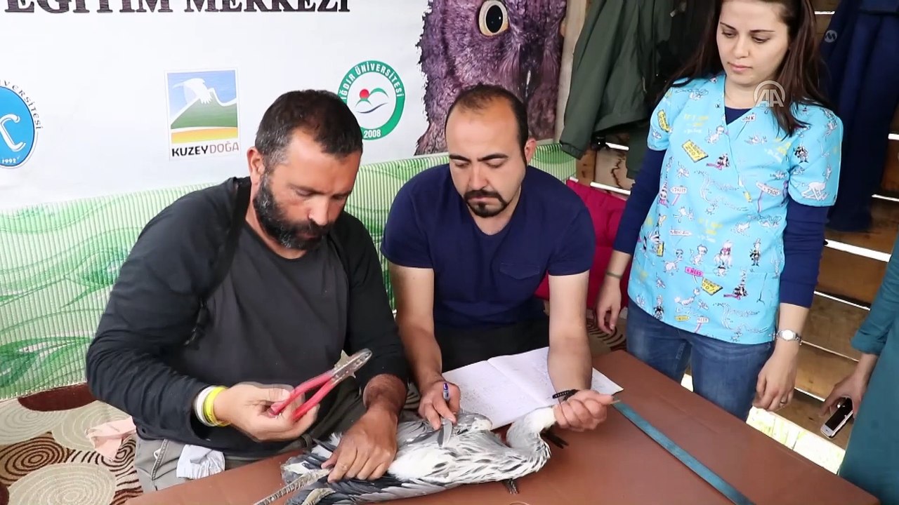 Aras Kuş Cenneti öğrencilerin eğitim alanı oldu - IĞDIR