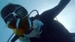 You found Nemo! Amazing | Great Barrier Reef Packages | Great Barrier Reef Tours