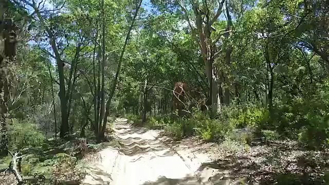 Fraser Island Tours | Fraser Island Sunset Safaris | Fraser Island Tour