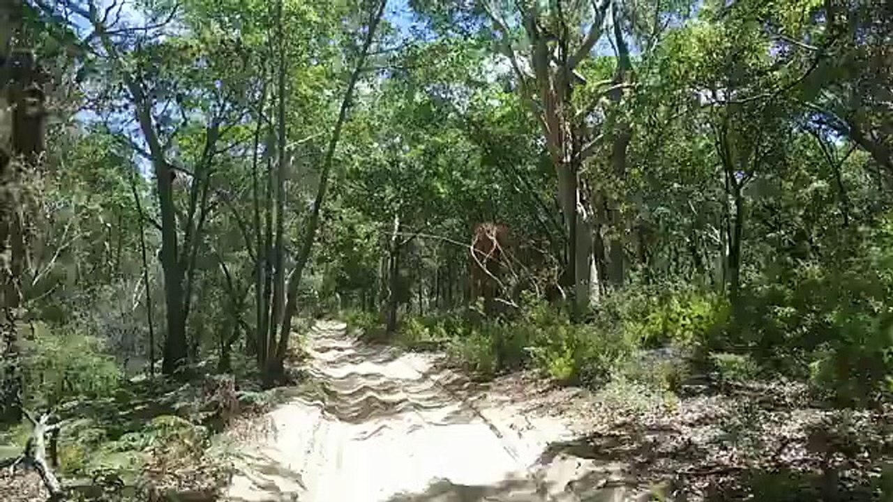 Fraser Island Tours | Fraser Island Sunset Safaris | Fraser Island Tour