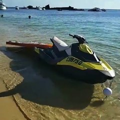 Moreton Island Activities Australia | This is paradise, this is Moreton Island!