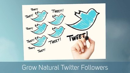 Twitter Scheduling App