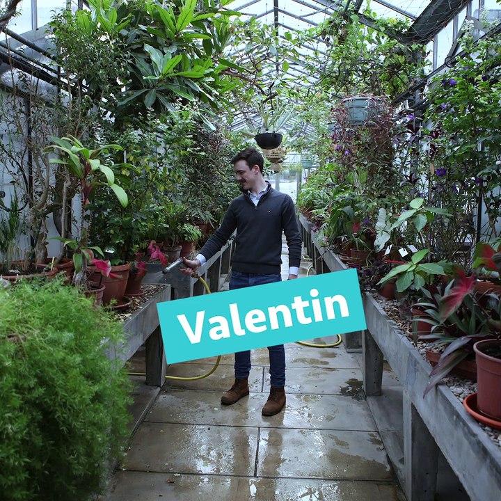 Valentin - Apprenti ECOPURE