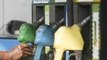 Petrol- Diesel Price फिर होंगे increase, Crude Oil का बढ़ा दाम | वनइंडिया हिन्दी