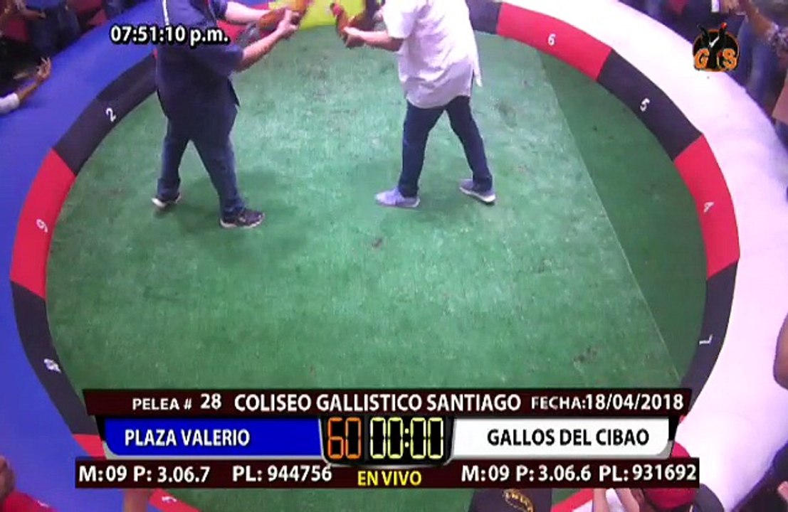 GALLOS DEL CIBAO VS PLAZA VALERIO