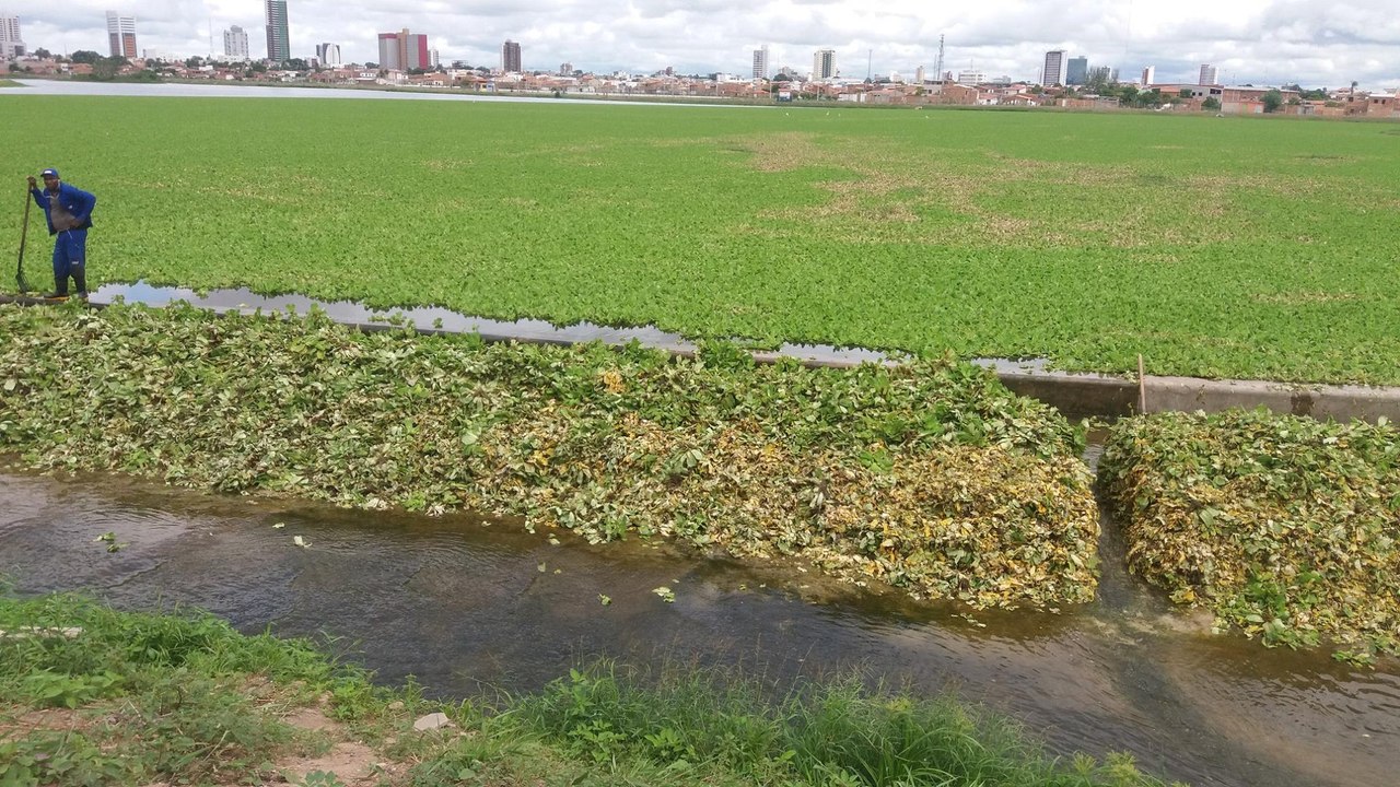 Poluição fez sumir o espelho d'água da Lagoa Grande