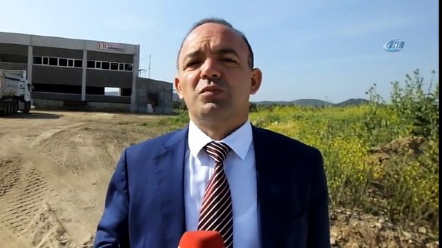 Burhaniye Zeytin Ve Zeytinyağının Merkezi Burhaniye Olacak