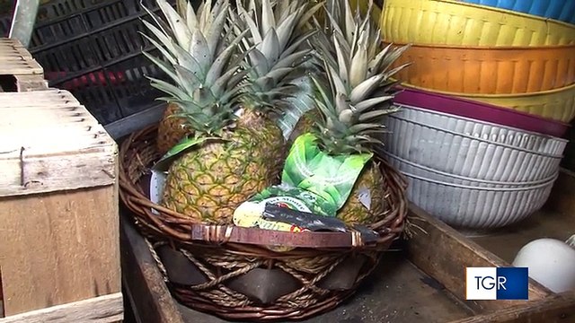 Puglia: ex finanziere e avvocato organizzano omicidio, fermati in tempo