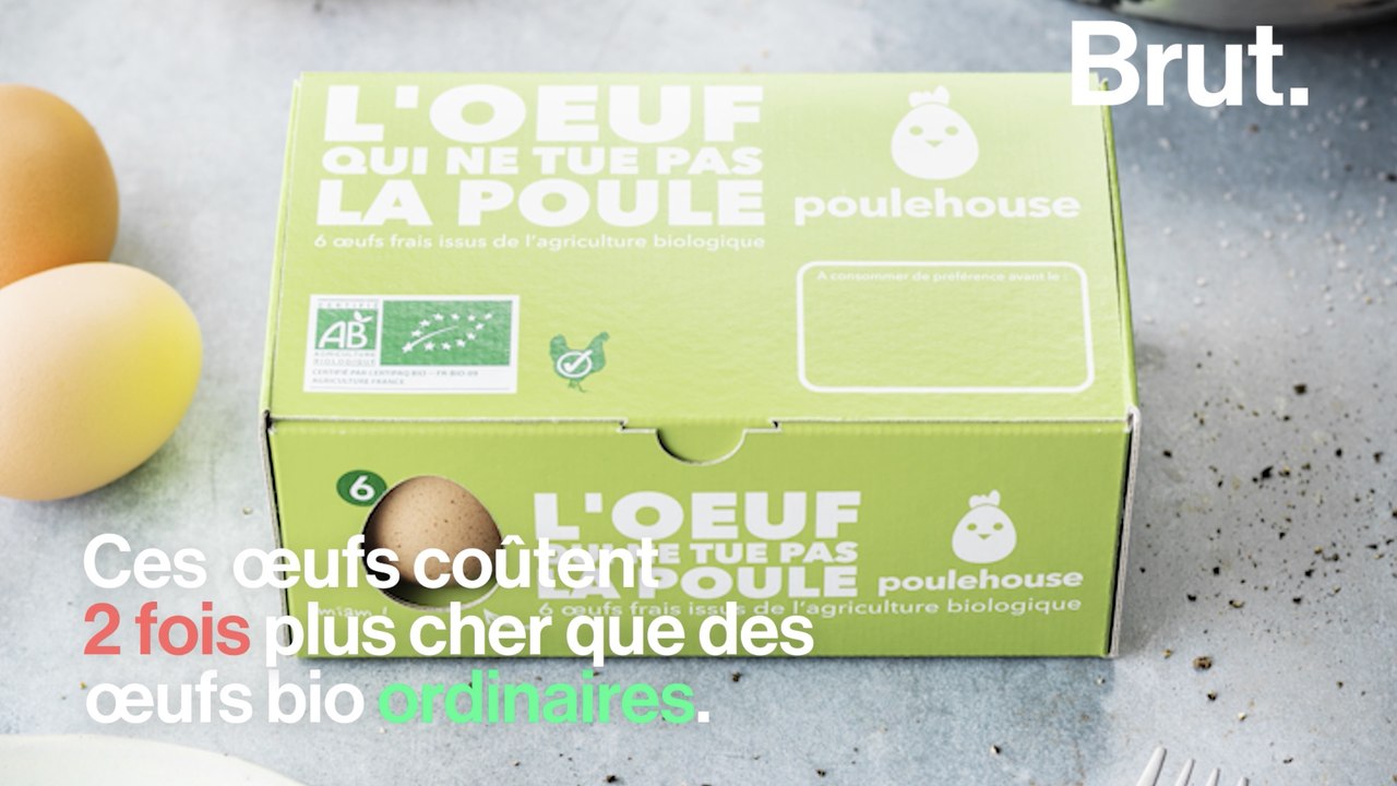 Le projet "poule house" pour prolonger la vie des poules pondeuses
