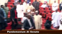 Nigerian Senate chaos as mace is stolen
