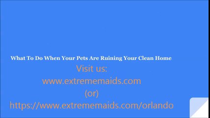 What To Do When Your Pets Are Ruining Your Clean Home | extrememaids