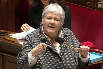 Vive passe d'armes à l'Assemblée nationale avec une ministre en colère