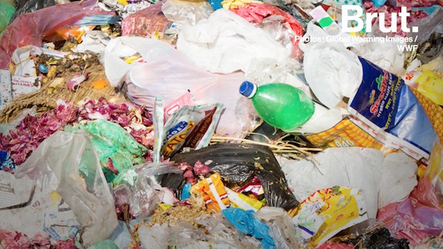 Pollution plastique : Greenpeace appelle les entreprises à réagir