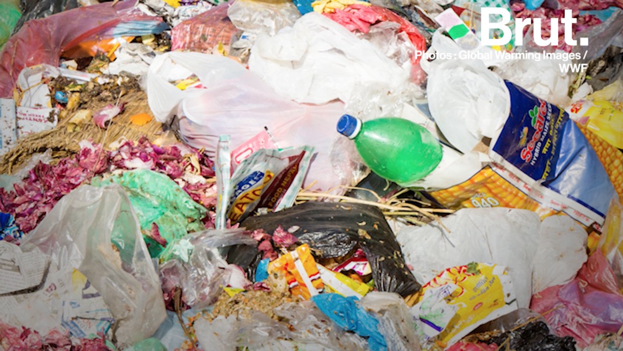 Pollution plastique : Greenpeace appelle les entreprises à réagir